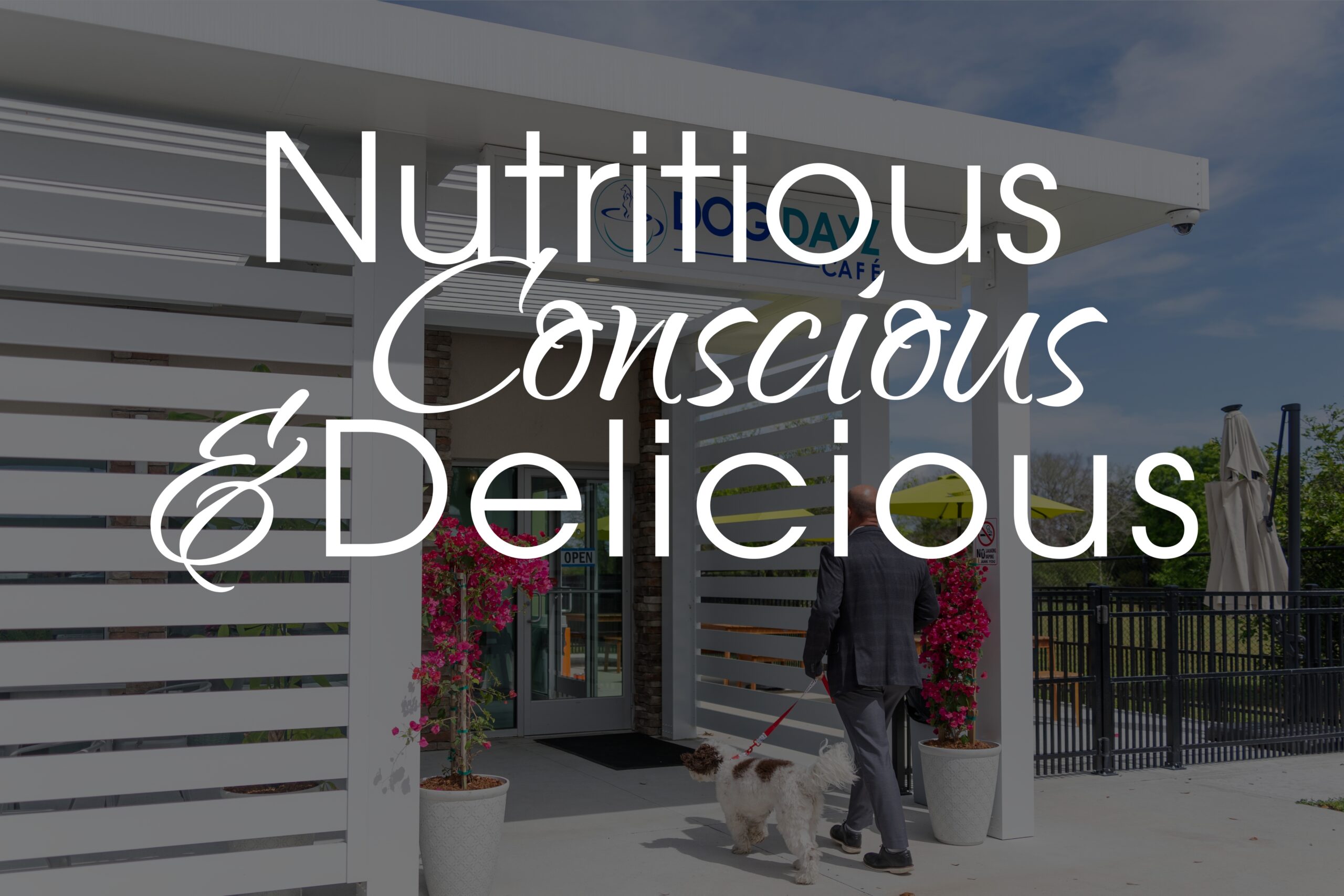 Nutritious, Conscious, & Delicious slogan hero image