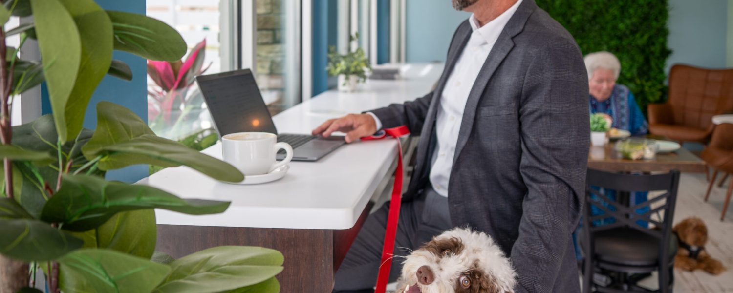 Work-From-Cafe